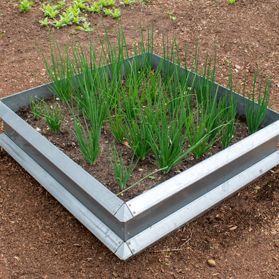 Højbed, galvaniseret, 1x1 meter hovedmodul