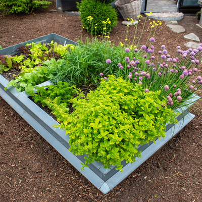 Højbed, galvaniseret, 1x1 meter forlængermodul