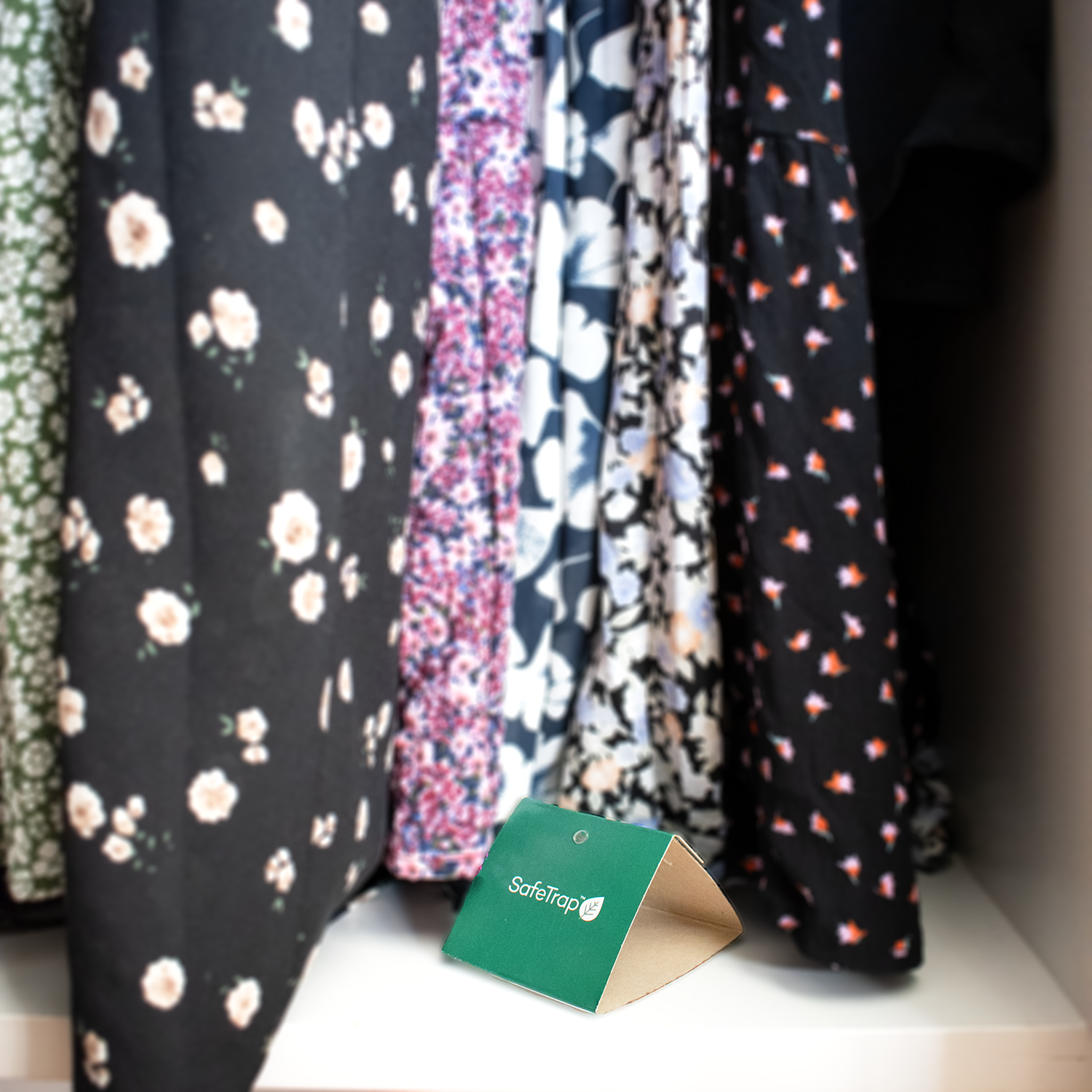 LejeVærn PRO Budget - pakkeløsning til professionelle udlejere